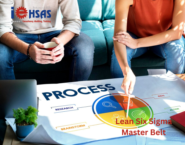 Lean Six Sigma Master Black Belt Certification | Iehsas
